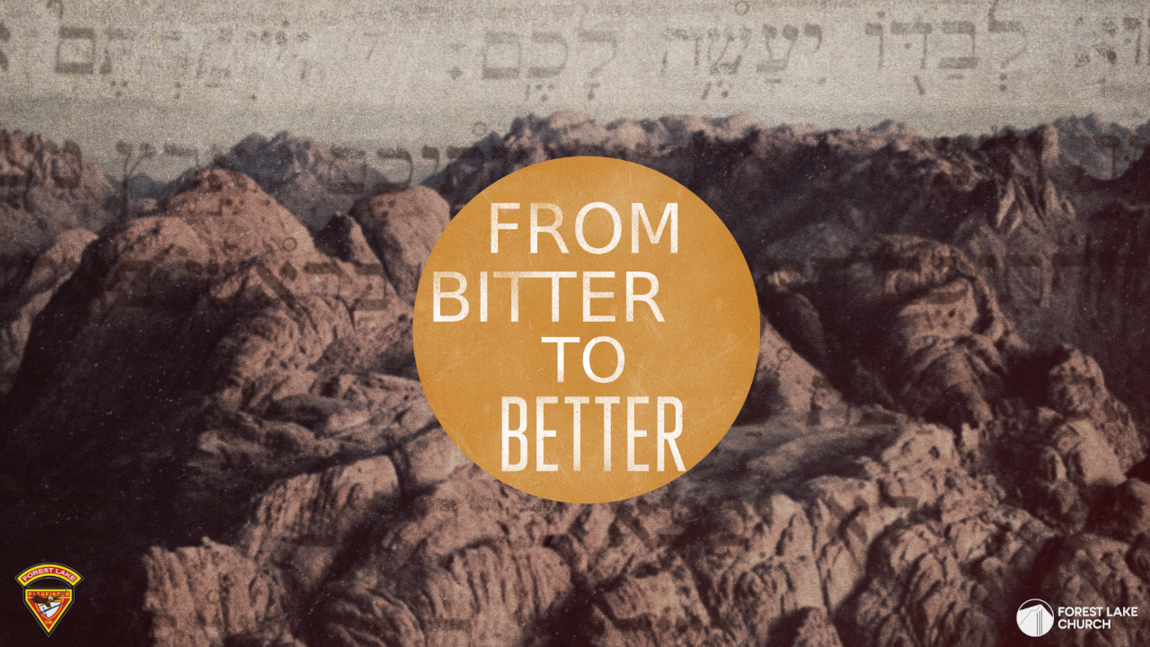 Bitter to Better episode artwork