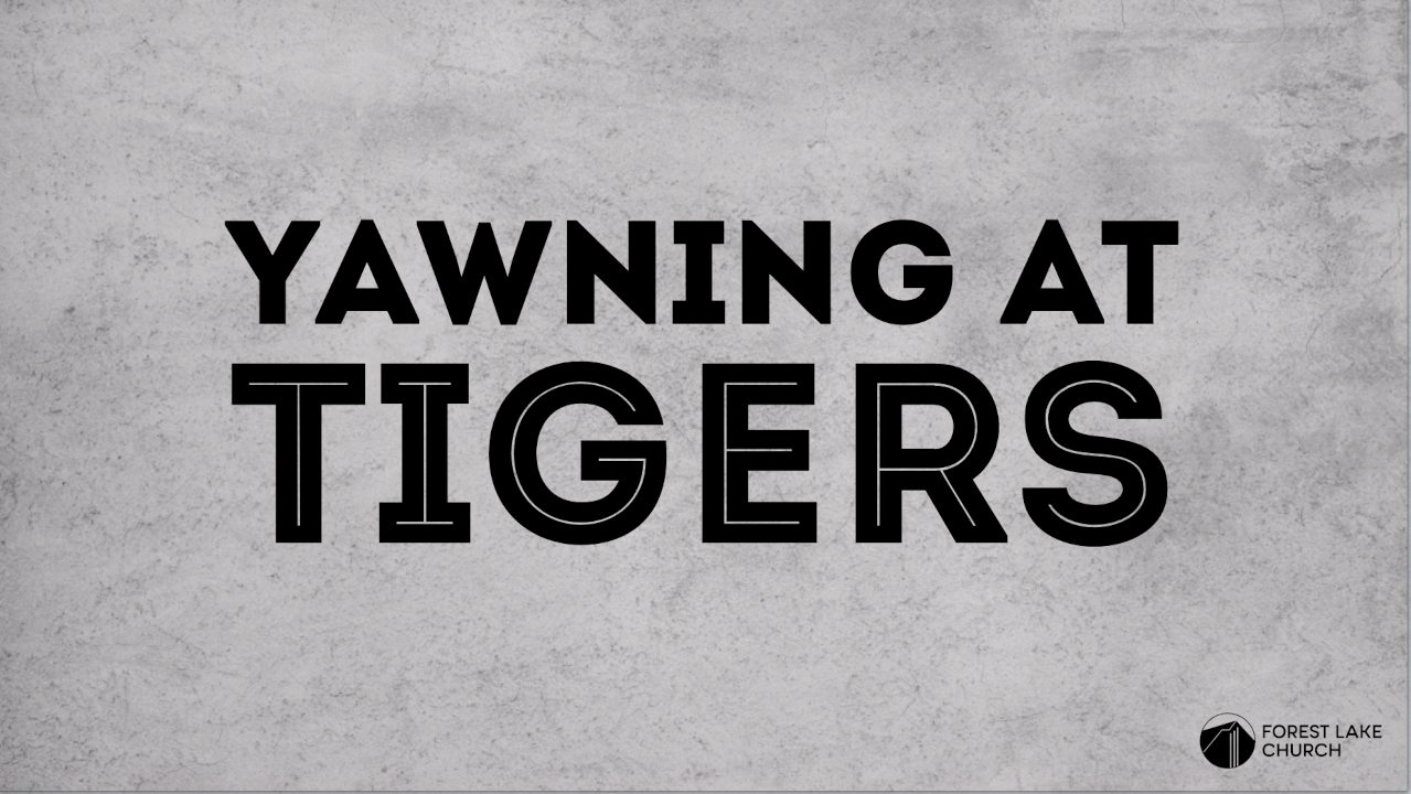 Yawning at Tigers episode artwork