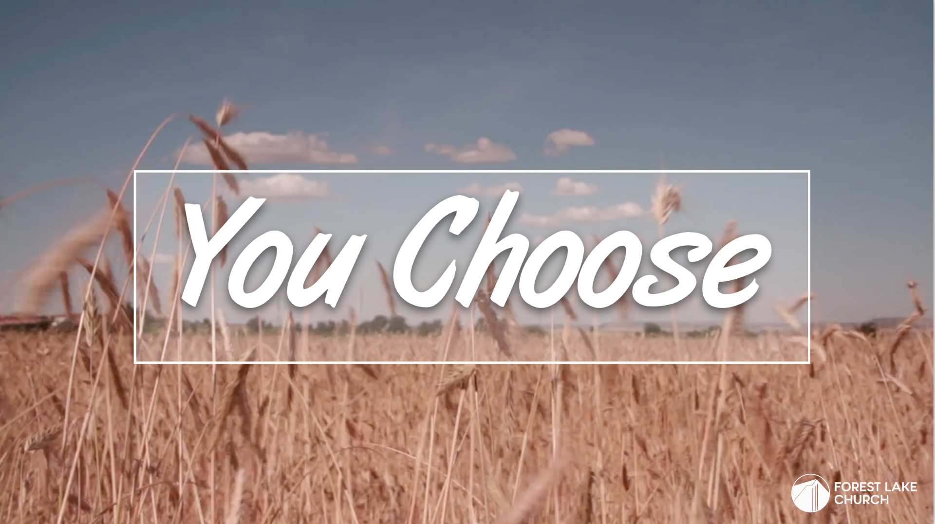 You Choose! Faithfulness vs. Rebellion episode artwork