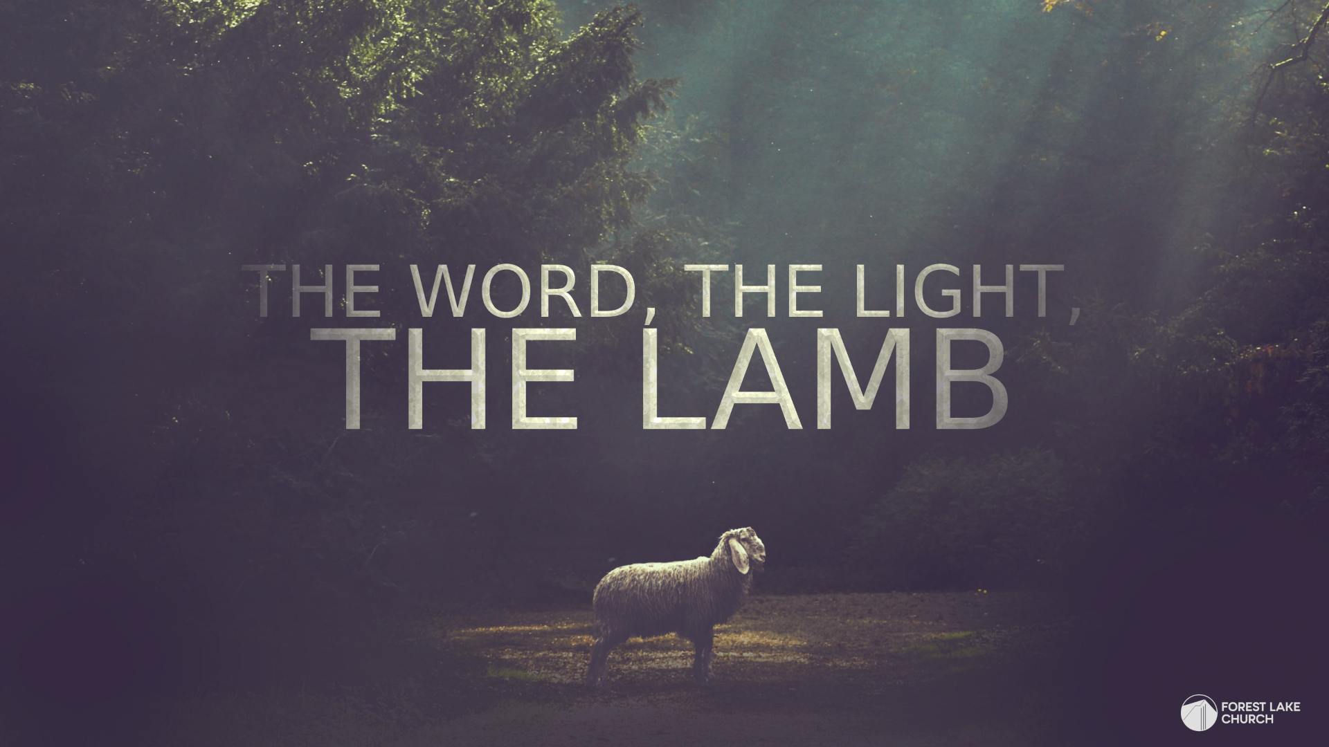 The Word, the Light, the Lamb episode artwork
