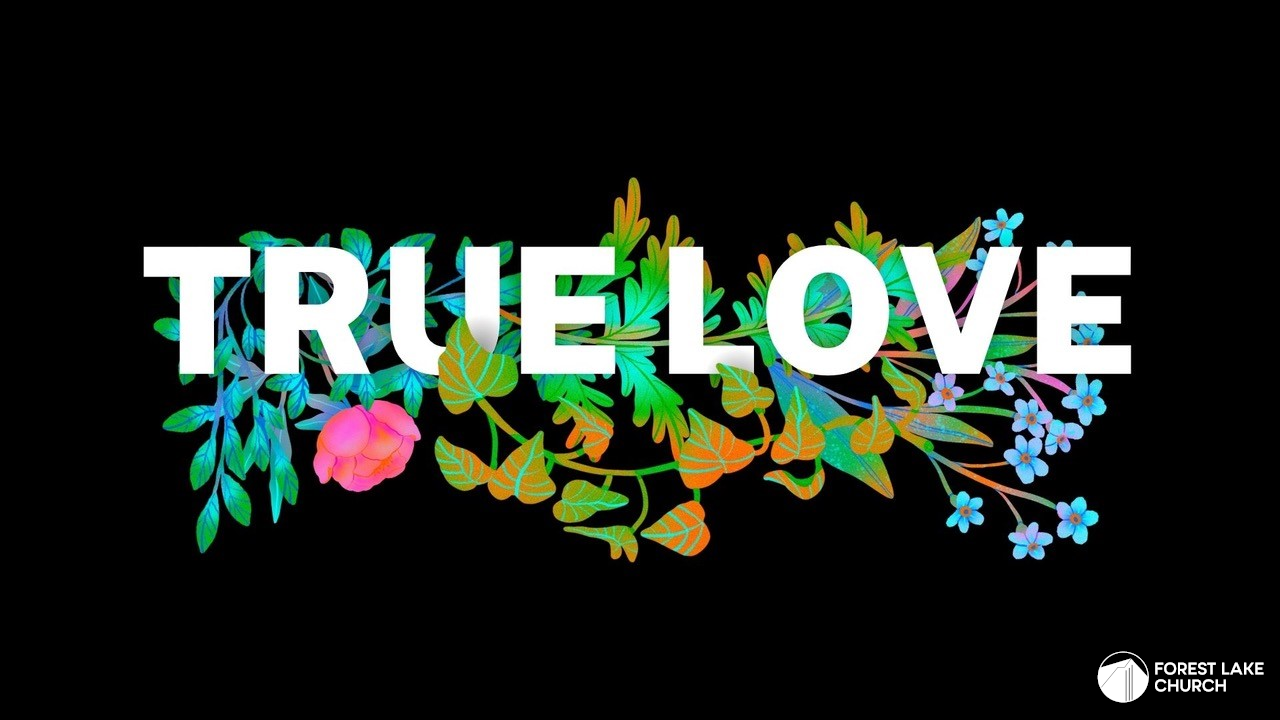 True Love: Hide and Seek episode artwork