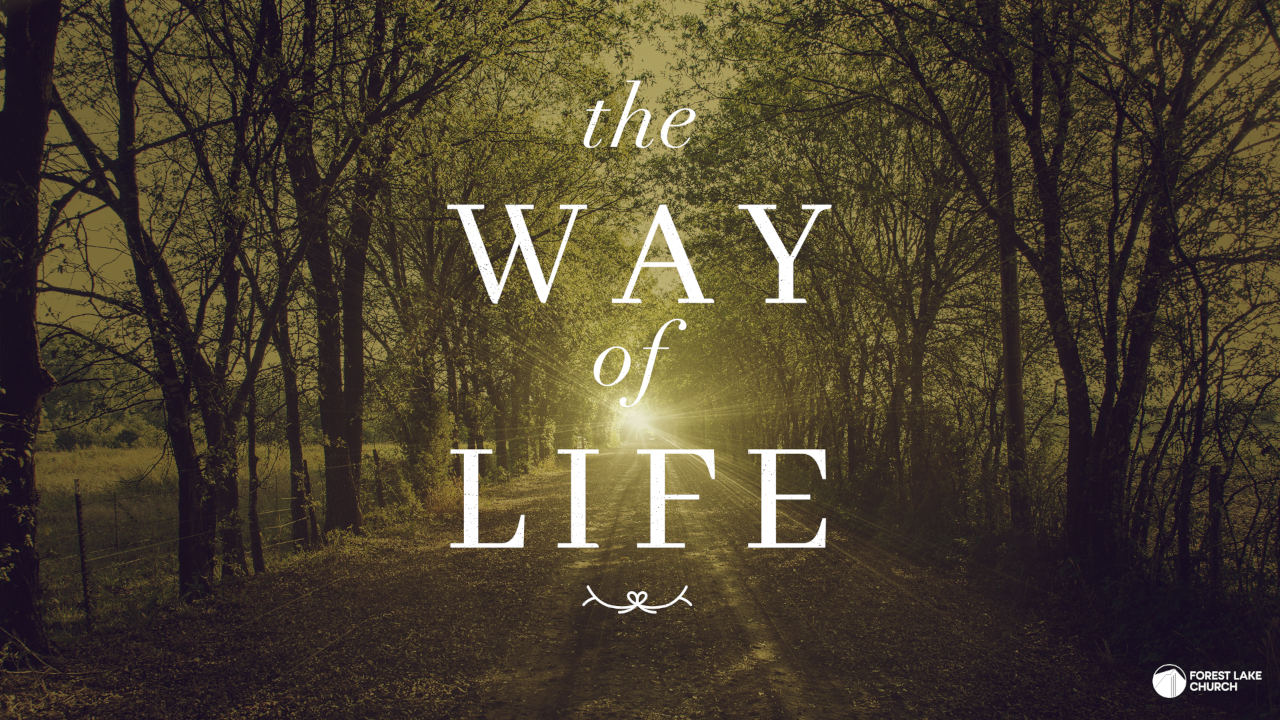 The Way of Life episode artwork