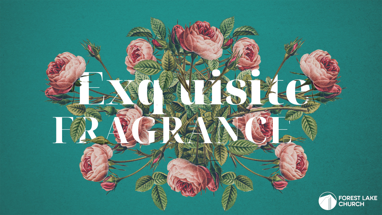 Exquisite Fragrance episode artwork